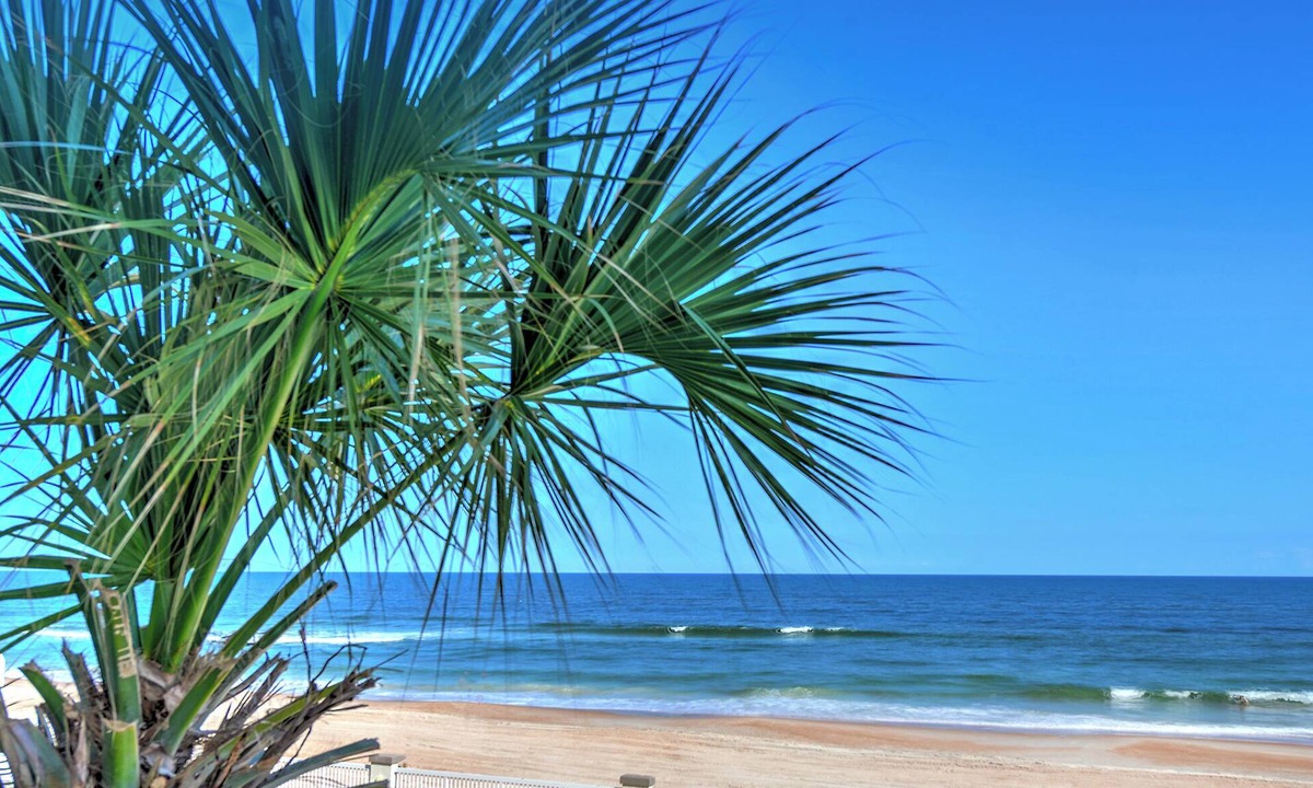 Ortona Park Condo | 1BR Oceanfront Condo Private Balcony Sleeps 6