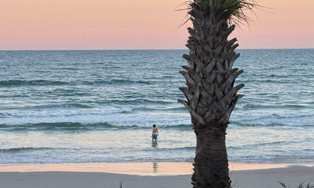 Wilbur-By-The-Sea Apartment | "Beverly's Place" Beachfront Apt Daytona Beach - just steps away from the ocean!