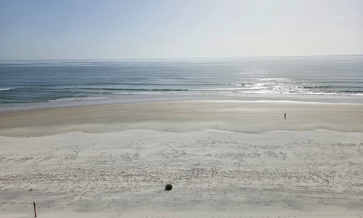 Ponce Inlet Condo | Direct Ocean Front Condo at Towers of Ponce Inlet