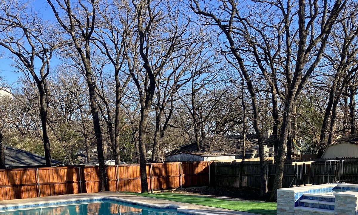 Euless House | Mid City Oasis