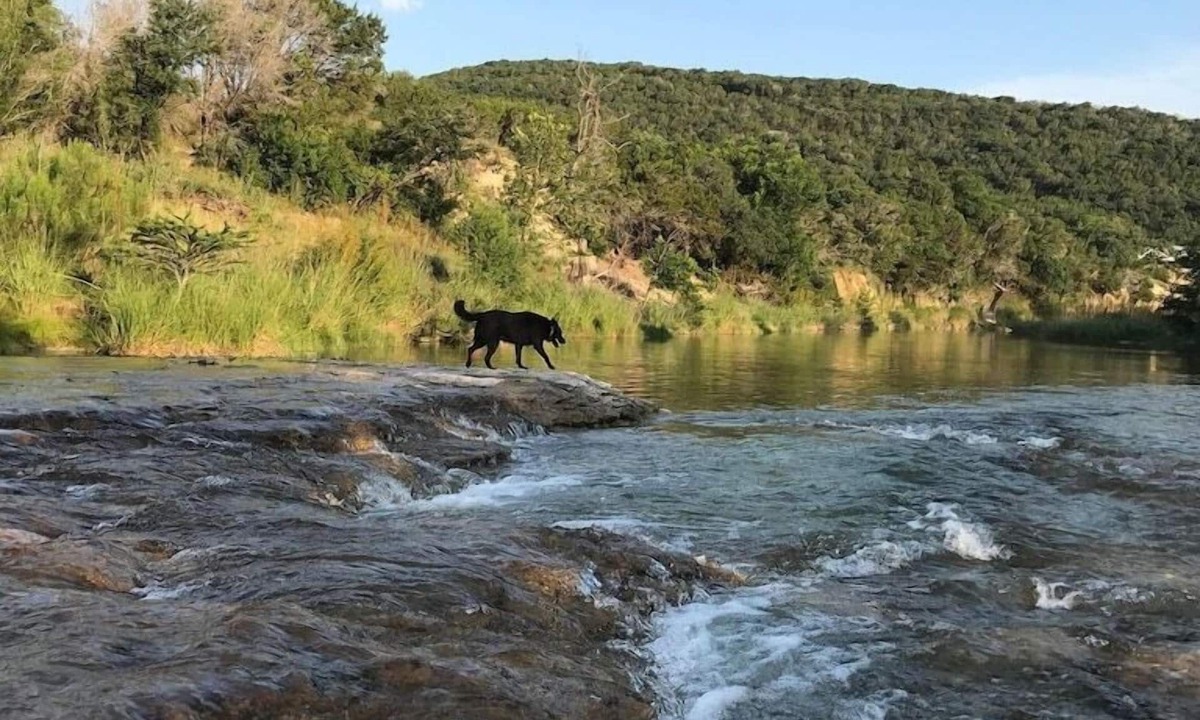 Leakey Cabin | On 3 Twisted Sisters Loop, Great for Motorcycles, Couples Getaway, Pets Welcome!