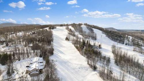 Bessemer Villa | Premium Slope-Side Escape I Alpen Villas at Powderhorn Mountain