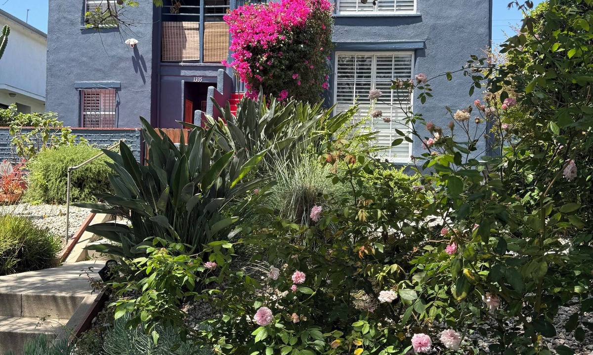 Mid-Wilshire Apartment | Quiet Guest Suite w/Private Entry + Garden in Central LA