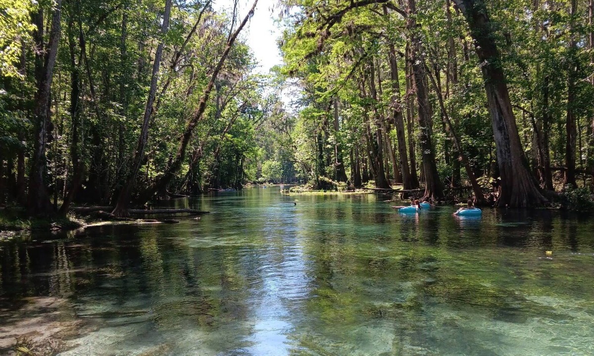 Paisley House | RV stay private land The Angler's Hideout Close to springs, parks, & Daytona