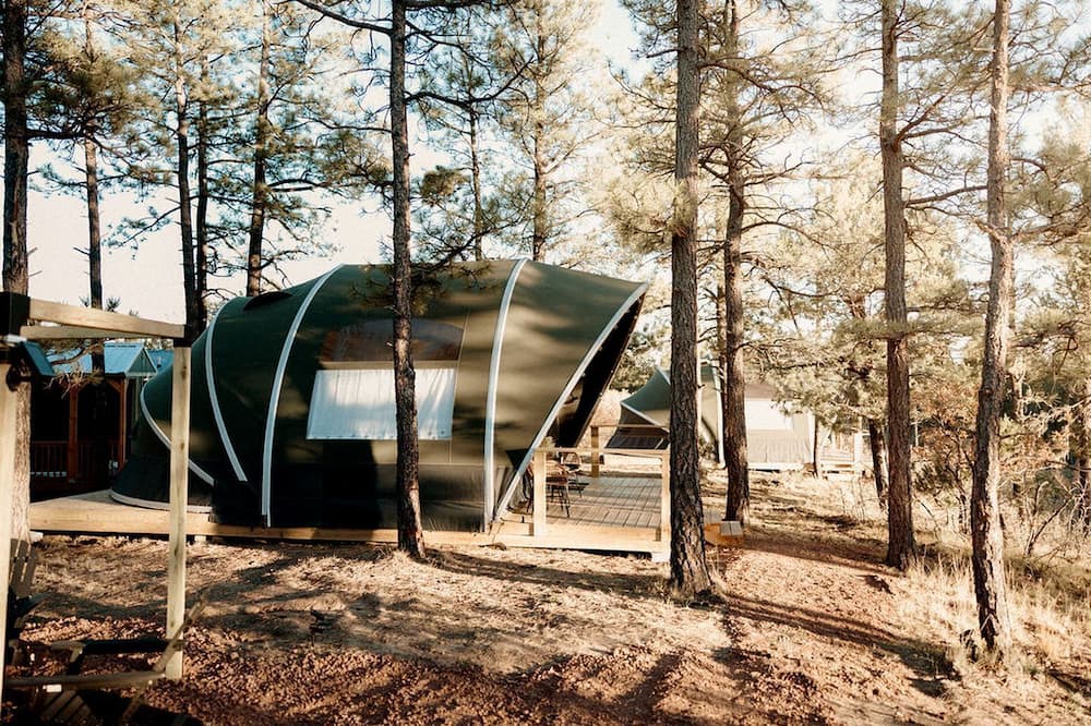 McIntosh RV Rental | Scenic Mountain Glamping Tent with Orchard & Farm Animals near Quarai Ruins in Torreon, New Mexico