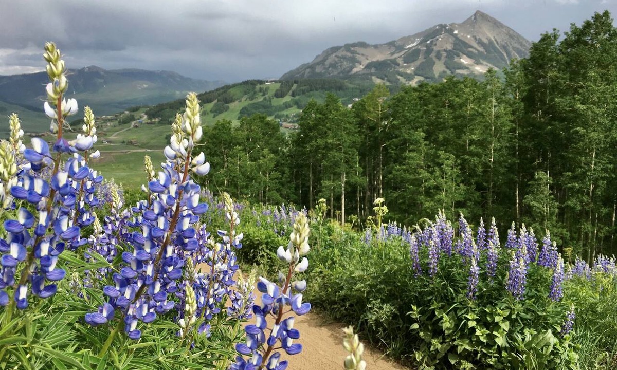Crested Butte South House | Spacious Modern Mountain Retreat. Amazing views!
