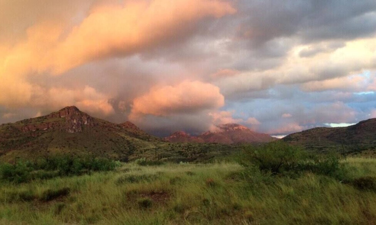 Mule Creek RV Rental | Tentrr Signature Site - Mountain Retreat on the Mogollon Rim