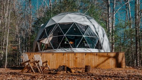 Traphill Other | The Glass Globe