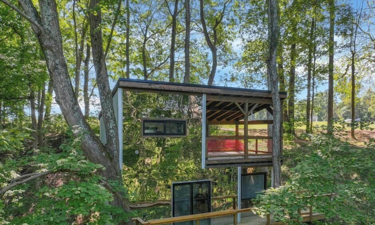 Rockbridge House | The Star Wars Treehouse