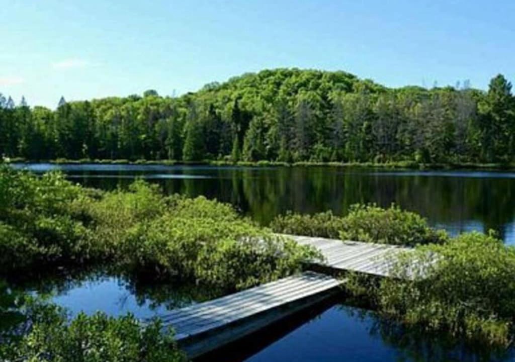 Michigamme House | Whole home, private lake, sauna, WFH office