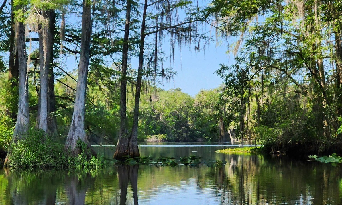 Citrus Springs Apartment | Wise Owl Retreat, a beautiful suite amongst towering oaks, access to River/view.