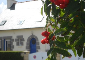 BINIC Breton house 100 m from the beach of the port and the city center wifi