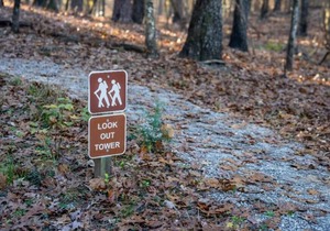 Tentrr State Park Site - Mississippi Clarkco State Park - Highridge G - Single C