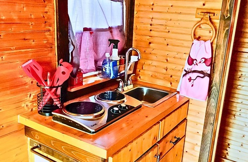 Eastland Cabin | 1 Lakefront Tiny Home | Couples’ Glamping Getaway at Lake Eastland