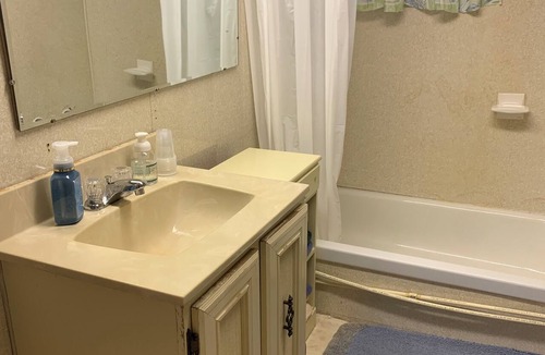 Newberry Cabin | 1BR Cabin walking distance to Dollarville Dam