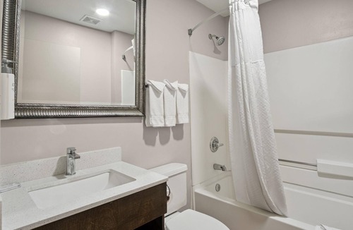 Blue Springs Hotel | 3 Modern Rooms Near Fleming Park – Explore Lakes, Trails & Outdoor Fun