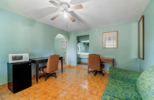 Harlingen Hotel | 4 Pet-Friendly Rooms Near Harlingen Local Dining Spots- Affordable Stay!