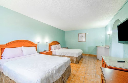 Harlingen Hotel | 4 Pet-Friendly Rooms Near Harlingen Local Dining Spots- Affordable Stay!