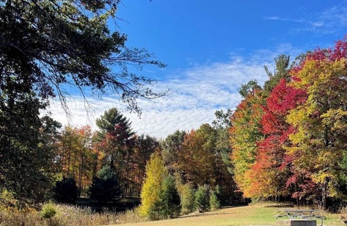 Wisconsin Dells RV Rental | 50/30 Amp RV site with full hookup’s . Semi-private & Secluded