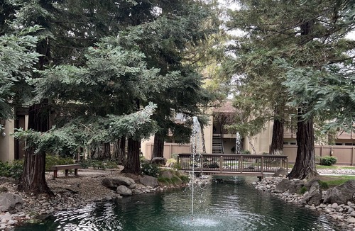 Modesto Apartment | Beautiful Stay-cation
