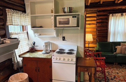 Cedarville Cabin | Birch Cabin - Les Cheneaux Landing