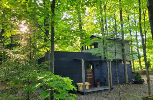 Milton House | Black Pine Tree House