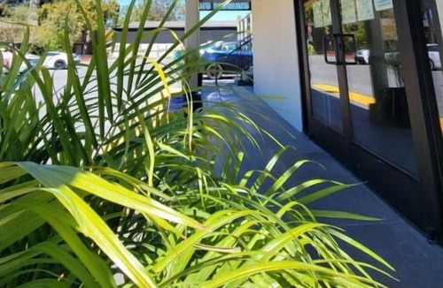Newhall House | Blast at California's Great America Amusement Park! FREE Parking!