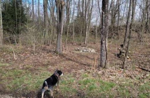 Freedom RV Rental | Celtic Glen Farm Stay - Quarry Site