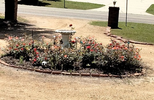 Ruston Bed & Breakfast | Charming bed & breakfast in soothing Ruston spirit. Near Tech and Sports complex