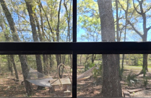 Archer Cottage | Charming Country Cottage minutes from Gainesville