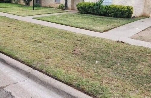 Lubbock House | ★Clean&Spacious★ 3BR/2.5BA ★Near TTU/UMC/CNTRL LBK