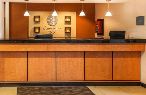 Avon Hotel | Comfort Inn Avon-Indianapolis West
