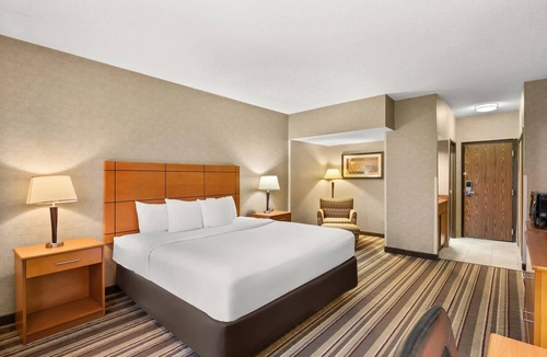 Romulus Hotel | Comfort Inn Metro Airport
