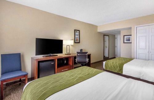 St. Petersburg - Clearwater Hotel | Comfort Inn St Petersburg North