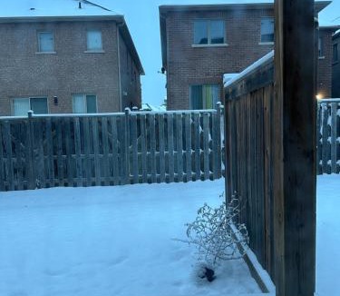 Brampton House | Comfortable Room with Free Parking