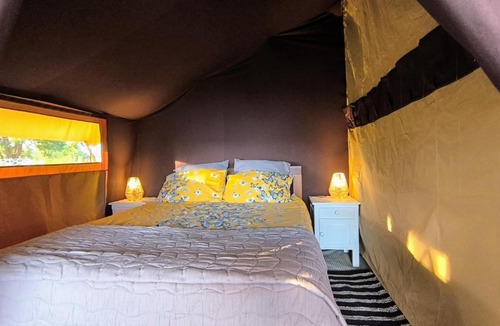 Miremont Other | Cool Under Canvas