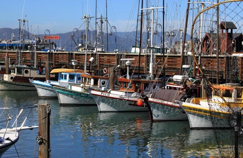 Fisherman's Wharf Hotel | Courtyard by Marriott Fishermans Wharf