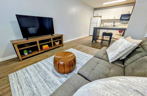 College Town Condo | Cozy 1/1 Walking distance to Doak Campbell Stadium and campus