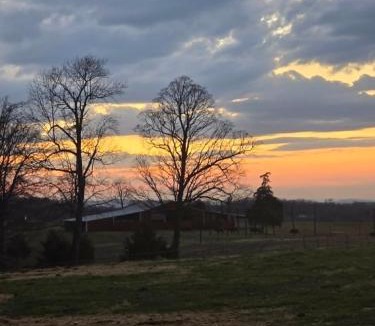 Marshall House | Cozy 1-BR Cabin with Kid's Loft & Hot Tub on Buffalo Farm