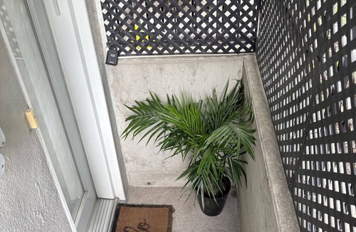 Cote-Saint-Luc Apartment | Cozy and Modern 1BR Bachelor Apartment