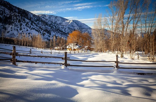 New Castle Cabin | Cozy Bunkhouse and Creekside Sauna Cabin next to the National Forest.
