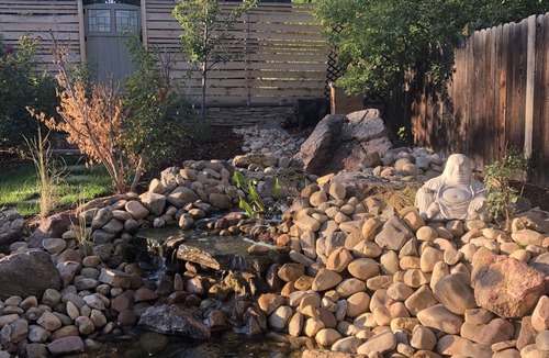 University Park House | Cozy, Comfortable Cottage Old Town Fort Collins