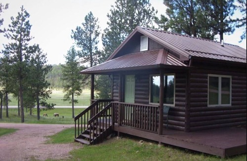 Custer Cabin | Cozy Custer Studio Cabin