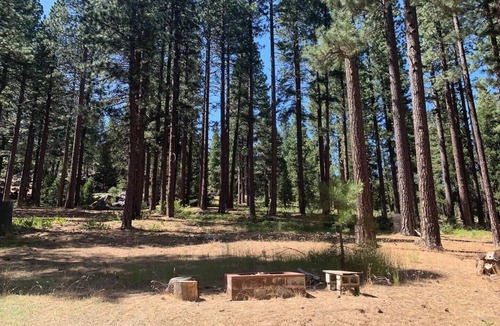 Calpine Cabin | Cozy Historic Mountain Cabin