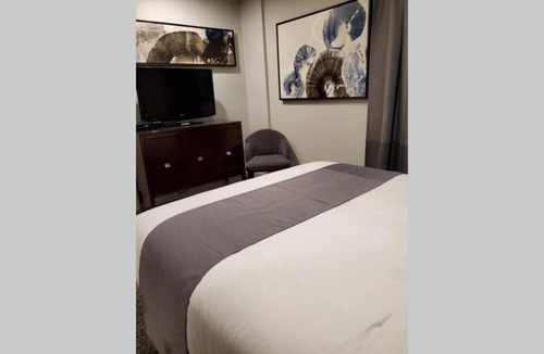 Downtown Gatineau Apartment | Cozy Sweet Studio #4, Only 10 min to D.T. Ottawa