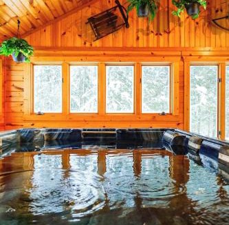 Bessemer Ski Chalet | Creekside Chalet - Huge Indoor Spa
