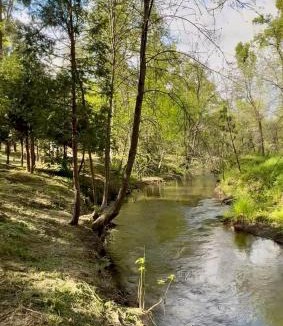 North Fork House | Creekside Hummingbird Haven Yosemite Bass Lake