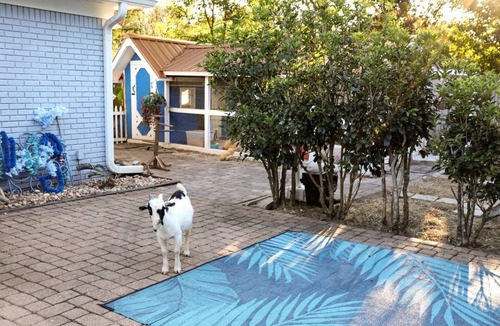 Navarre Cabin | Cute Tiny Home with Animals near the Gulf Coast in Navarre, Florida