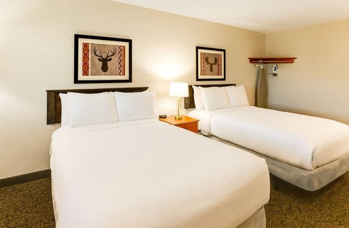 Peoria Hotel | Deluxe 2 Double Beds in Stoney Creek Peoria! Free Breakfast Stay by the I-74