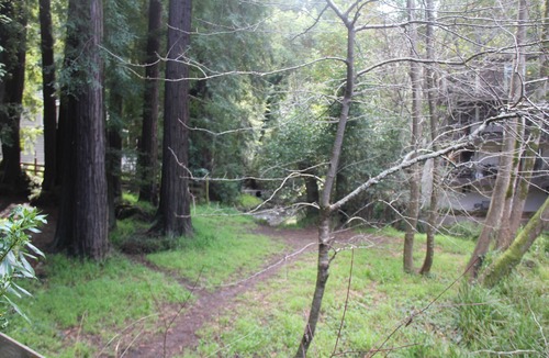 Mill Valley Condo | Downtown Mill Valley 3 bedroom flat